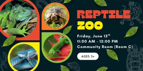 Reptile Zoo